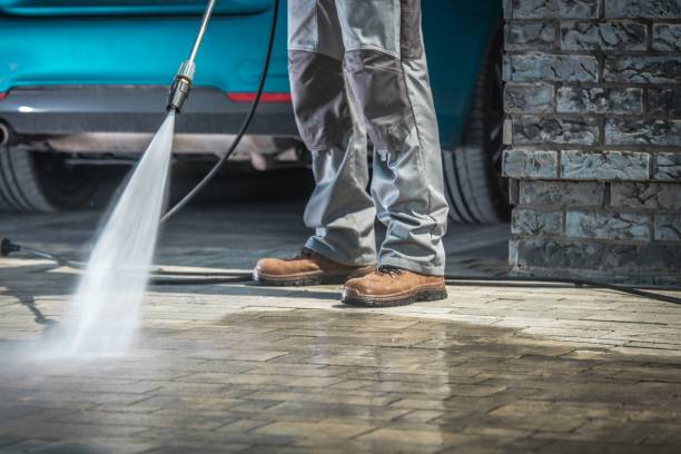 Best Pre-Holiday Cleaning  in Lugoff, SC
